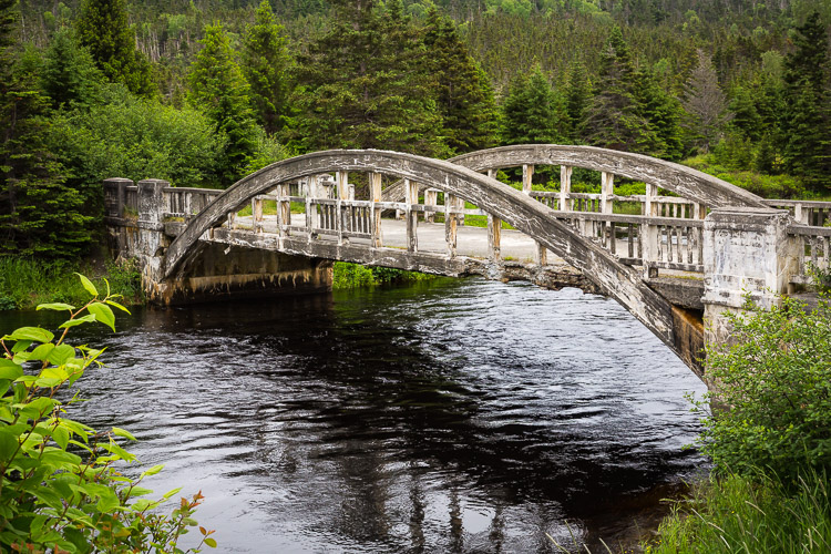 Troubleshooting 4 Tricky Photography Situations - What Would You Do? - in Newfoundland