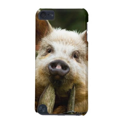 Two pigs - pig farm - pork farms iPod touch 5G case