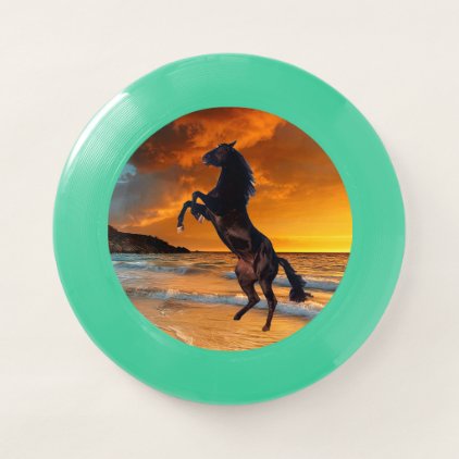Bucking Horse Wham-O Frisbee