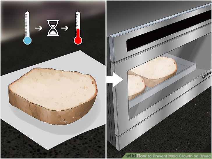 Prevent Mold Growth on Bread Step 4 Version 2.jpg