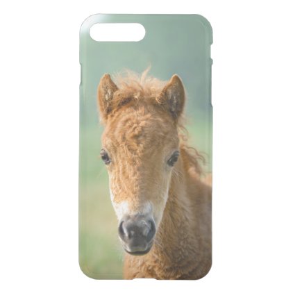 Cute Shetland Pony Foal Horse Head Frontal Photo - iPhone 7 Plus Case