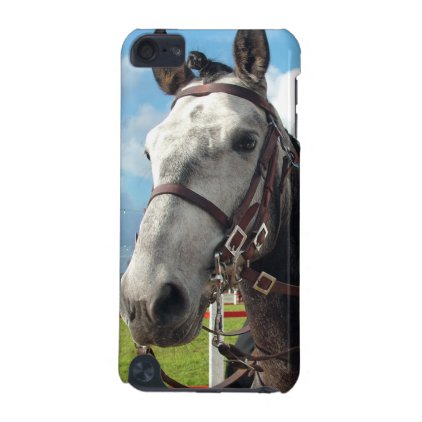 Pure breed horse iPod touch (5th generation) cover