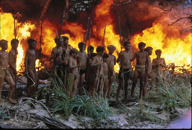There's a new Lord of the Flies movie in the works, and it's got a major twist: all the boys stranded on the island will instead be girls.