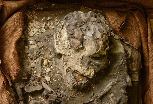 The Rediscovery of ‘Noah’, A 6,500 Year Old Skeleton, Who Survived A Great Flood