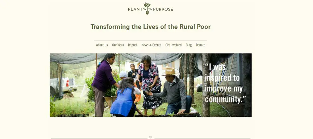 Plant With Purpose websites with earthy tones