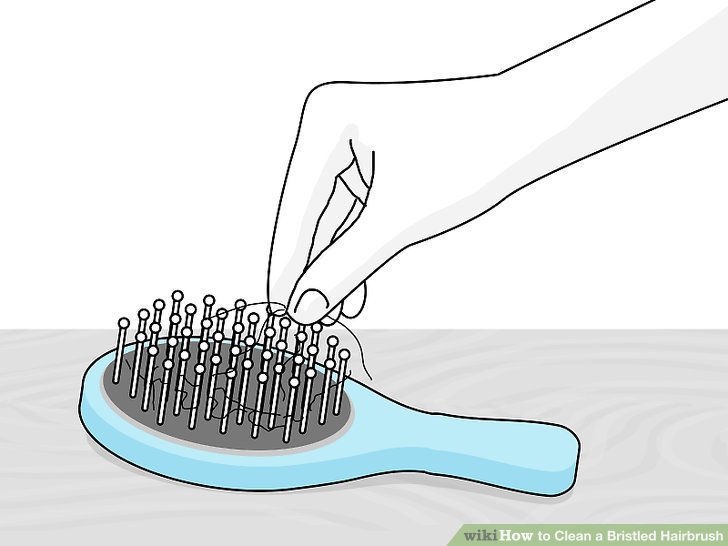Clean a Bristled Hairbrush Step 1 Version 3.jpg