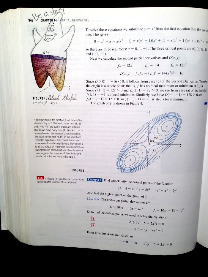 Leaving A Gem In A Calculus Book