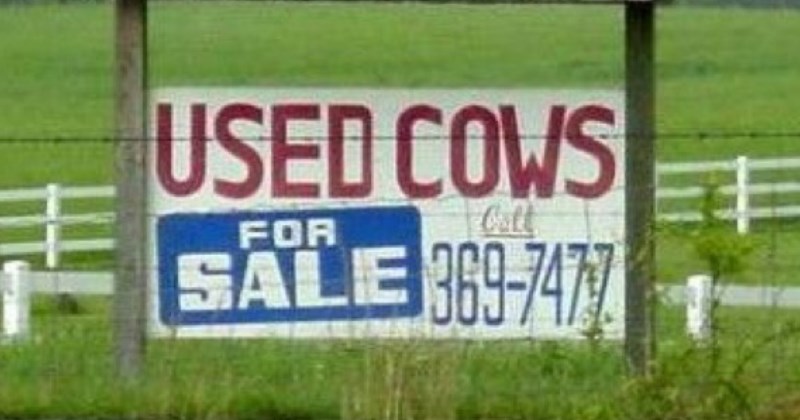 Used Cows - Funny Sign FAILs That Will Make You Laugh