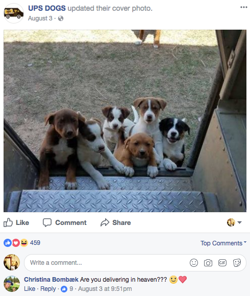 Five years ago, McCarren was inspired to start a Facebook group — a community of sorts — for him and other UPS drivers to share photos and videos of their pup friends. He named it UPS Dogs.