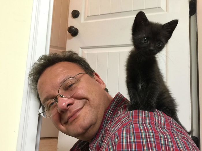 My Girlfriend's Dad Doesn't Like Cats So He Says, Looks Like She Won Him Over