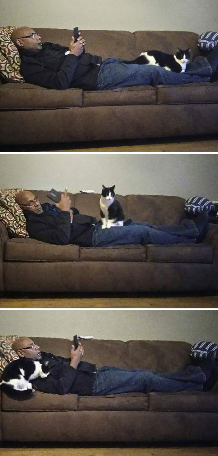 Our Cat Only Loves Our Dad, Who Hates Her