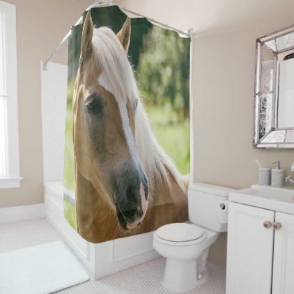 Beautiful haflinger horse portrait shower curtain