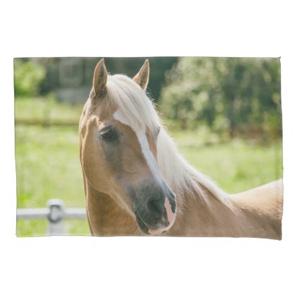 Beautiful haflinger horse portrait pillow case