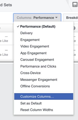 In the Ads Manager, click Columns and choose Customize Columns from the drop-down list.