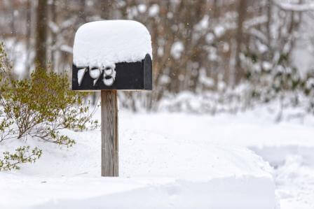 mailbox on lawn