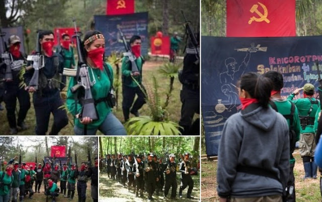 Validkah Foto-foto Latihan Komunis Bersenjata di Hutan ini?