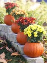 pumpkins with flower vases inside