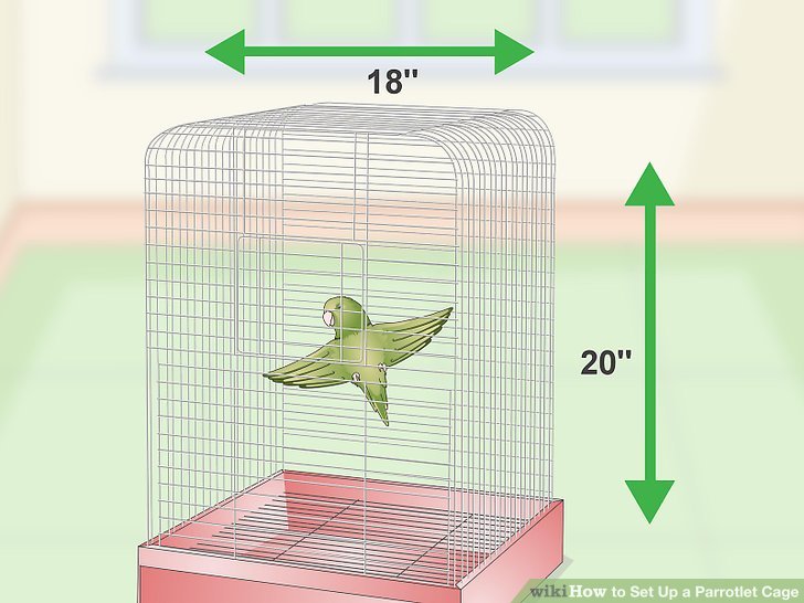 Set Up a Parrotlet Cage Step 1.jpg