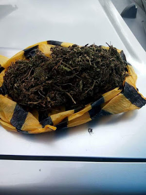 Photos: US-based Nigerian man finds a bag of marijuana planted in his car after he dreamt of his arrest over drug possession