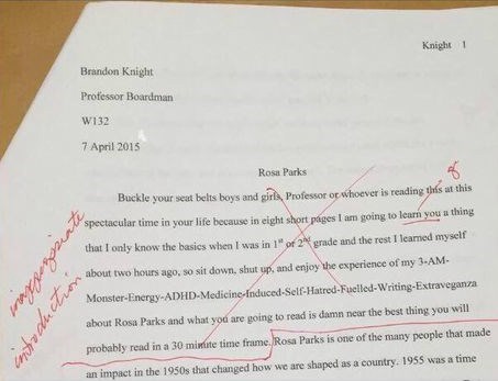 Possibly the Greatest Essay Intro of All Time