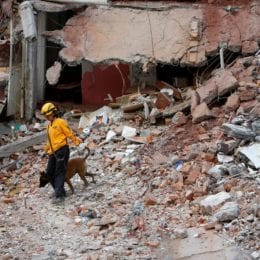 Mark Zuckerberg: Facebook Donates $1m To Mexico Earthquake Victims