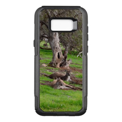 Kangaroo Siesta, Otterbox Samsung Galaxy S8+ Case
