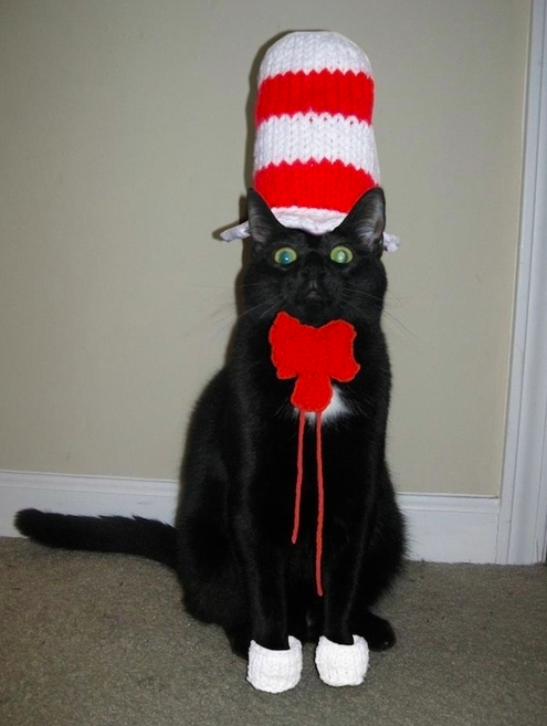 And this Cat in the Hat definitely does NOT like that.