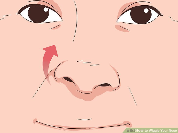 Wiggle Your Nose Step 5.jpg