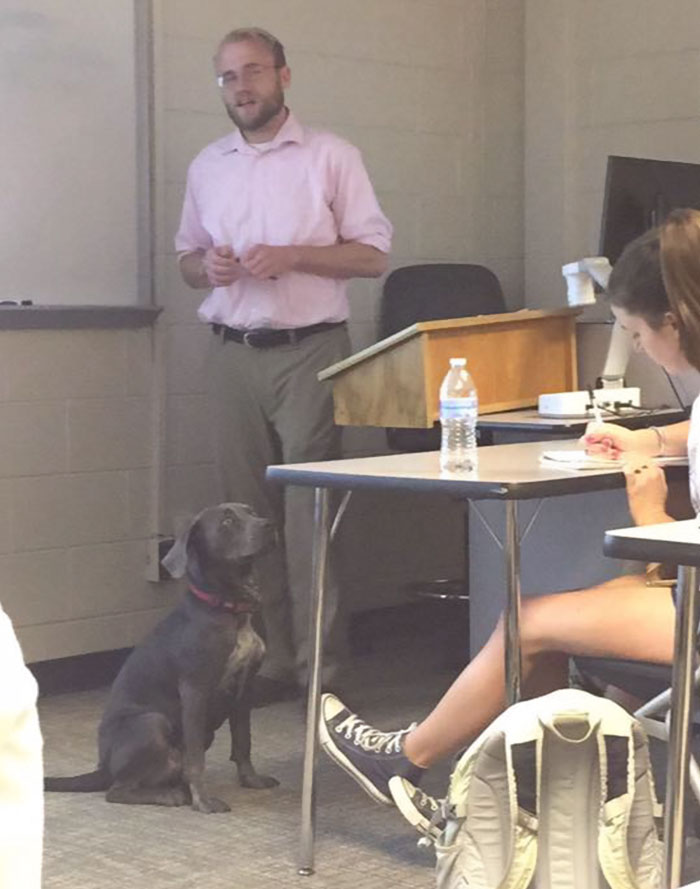 student-professor-dog-hurricane-irma-7