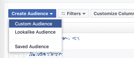 Create a custom audience in Facebook Ads Manager.