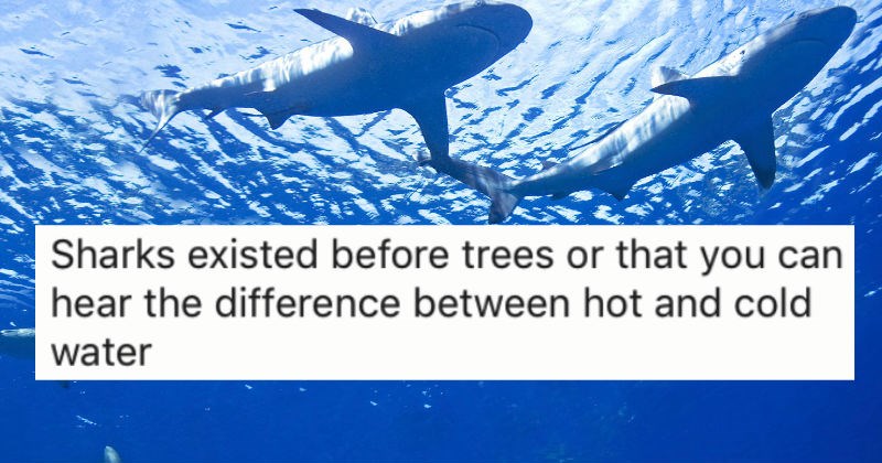 50 weird and unsettling science facts that'll make your head spin in confusion.