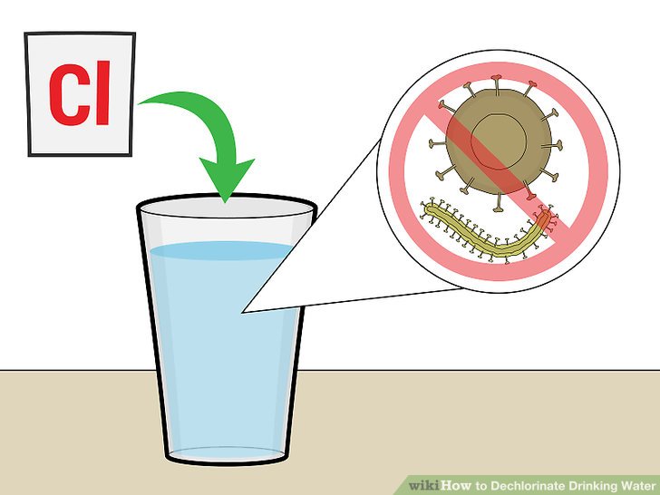 Dechlorinate Drinking Water Step 7.jpg