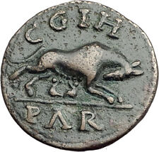 SEVERUS ALEXANDER as CAESAR Rare Mysia Parium Ancient Roman Coin WOLF i64748
