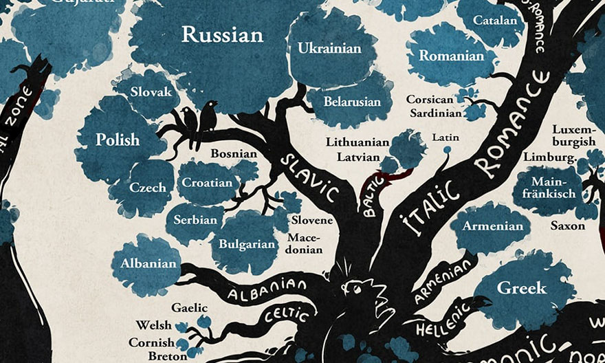 illustrated-linguistic-tree-languages-minna-sundberg-5