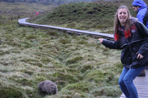Here's a picture of my coworker Elaina with a real live wombat.