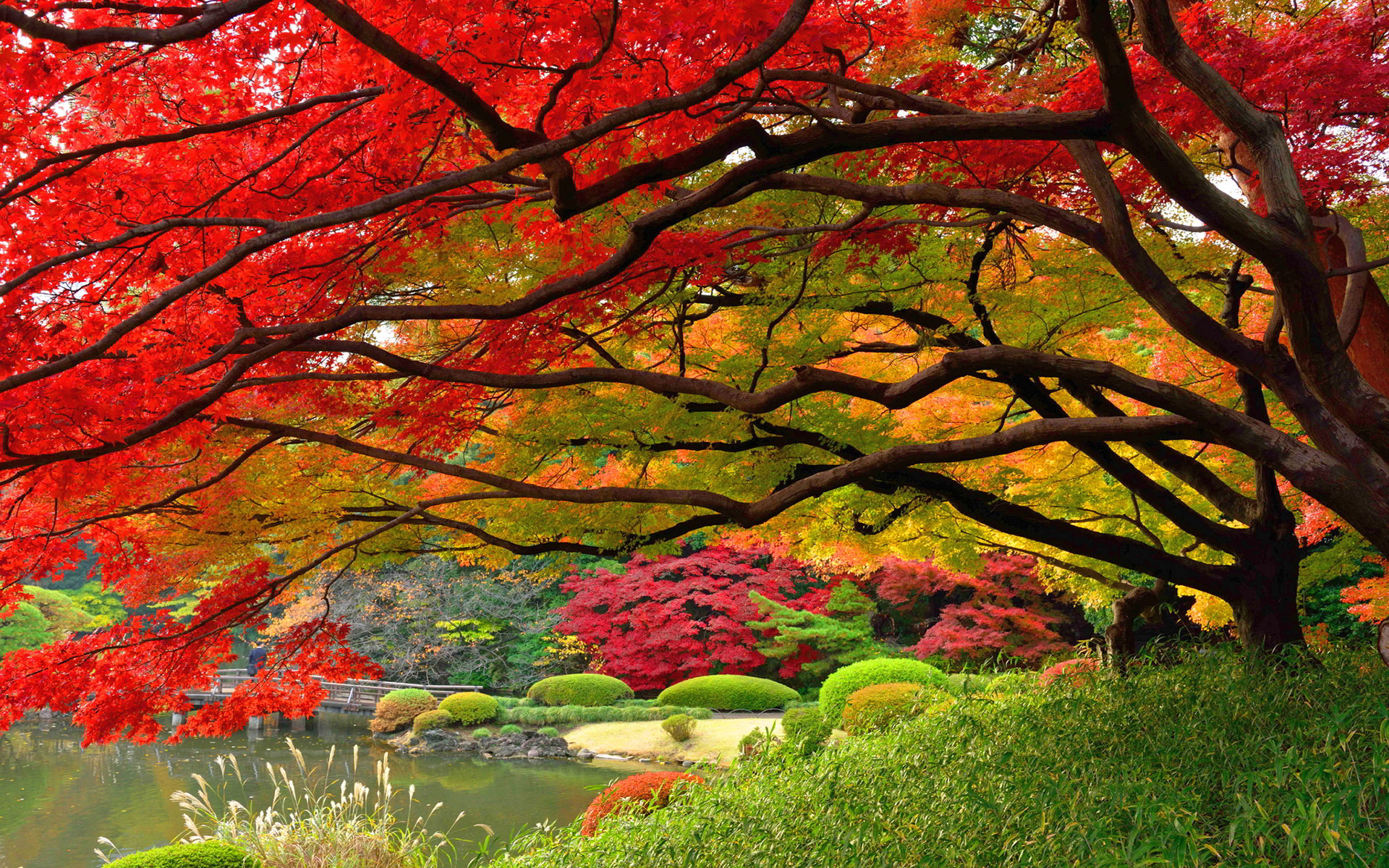 autumn-wallpaper-japan-hd Autumn Wallpaper Examples for Your Desktop Background