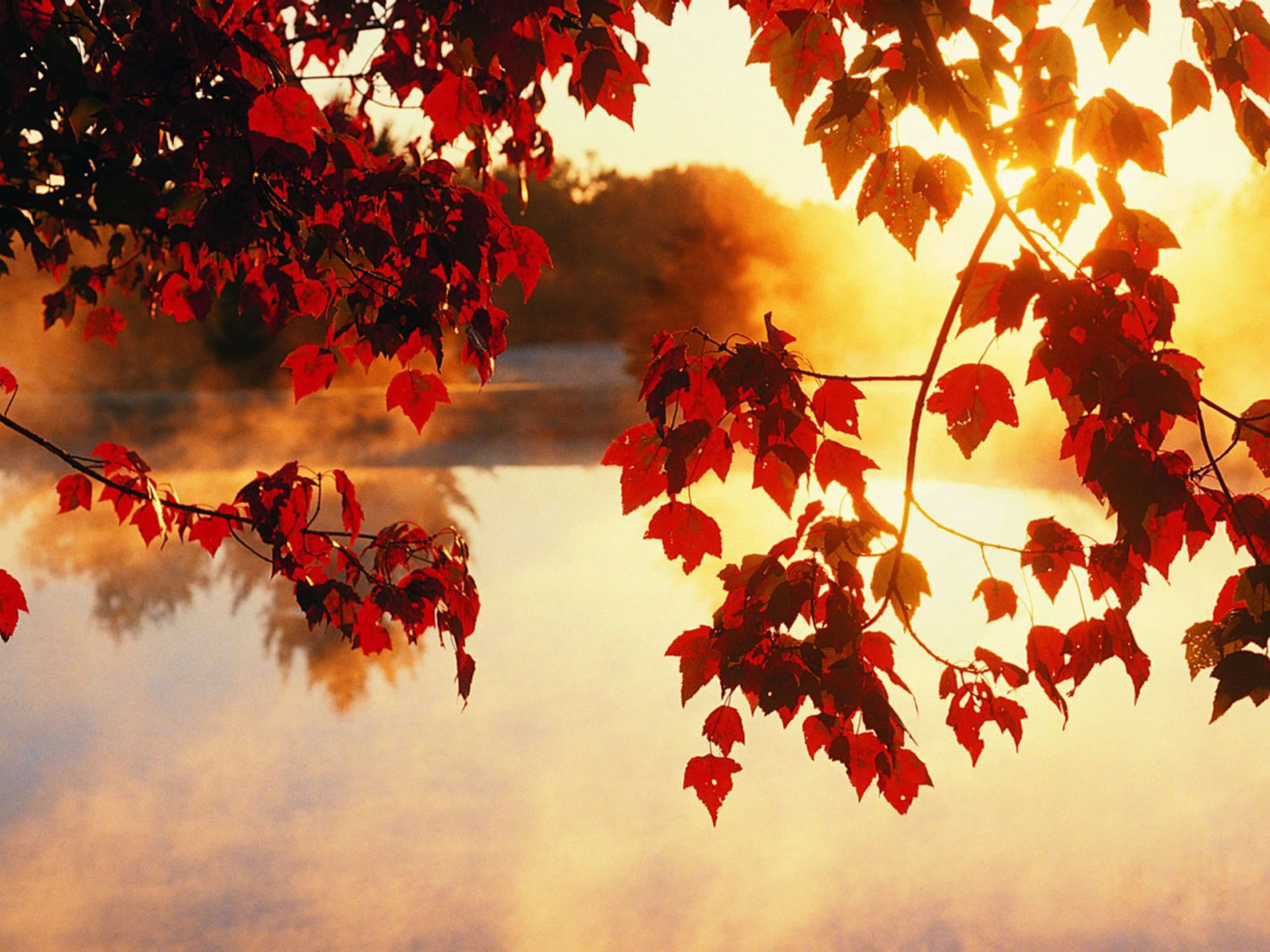 f0a343576ef9b9ada1507c9fed8 Autumn Wallpaper Examples for Your Desktop Background