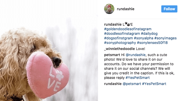 PetSmart peruses a variety of pet-related hashtags and asks fans for permission to use relevant images in their marketing.