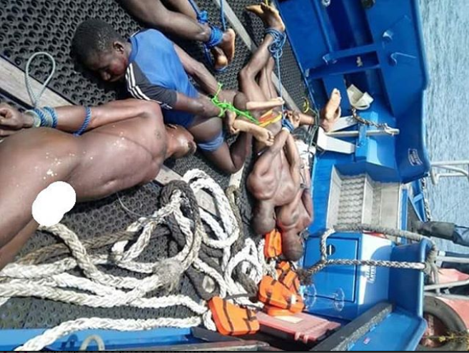 See photo of the 5 sea pirates caught this morning