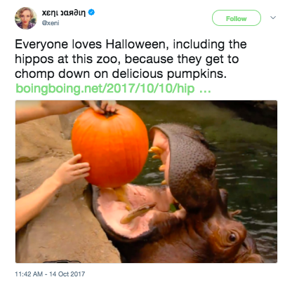 This hippo who just can't get enough Halloween.