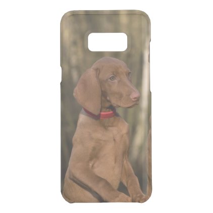 Beautiful Vizsla Sporting Dog Uncommon Samsung Galaxy S8+ Case