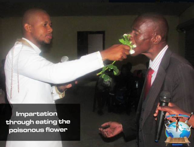 Controversial S.A pastor feeds church members with poisonous flower,cockroach
