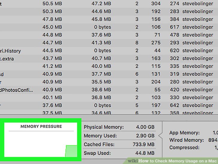 Check Memory Usage on a Mac Step 6.jpg