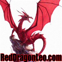 Link to Red Dragon Leo – Stock Market Trading on the Darkside