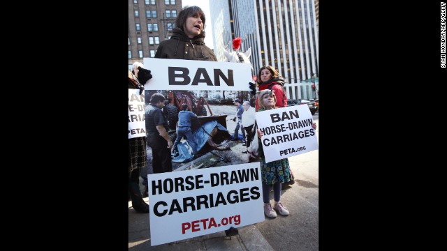 Chrissie Hynde, left, who sang with the rock/new wave band the Pretenders, leads a PETA protest near Central Park in 2008.
