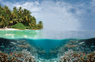 رحلتى المصورة مدينة الشعاب المرجانية Tubbataha-Reef-National-Marine-Park.jpg