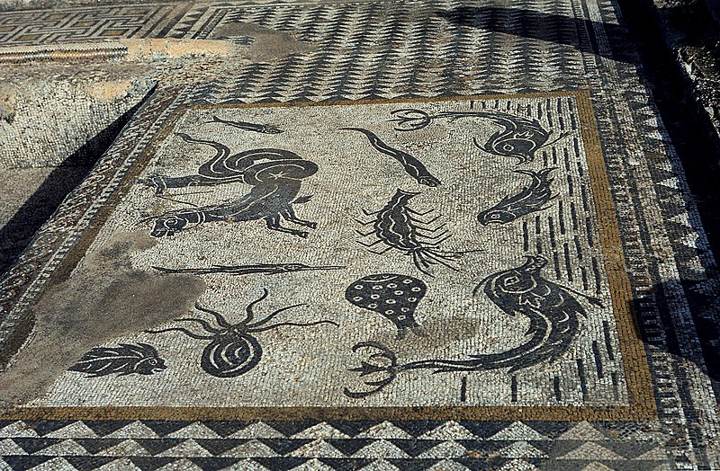 زيارة مدينة وليلي Volibulis بالقرب 800px-Mosaic-Sea_monsters.jpg