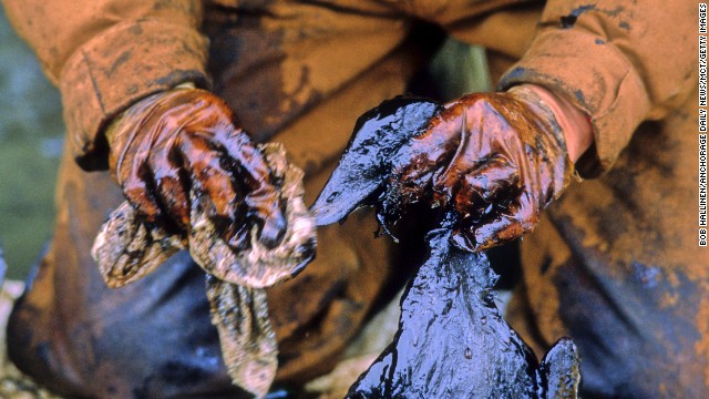 An Exxon Valdez oil spill worker recovers and cleans a bird covered in crude oil. At least 1,000 ducks and 250,000 seabirds were killed by Exxon Valdez crude oil, according to studies. 