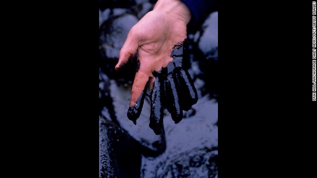 A worker demonstrates the thick coverage of the toxic crude oil washed up on Smith Island, Alaska.