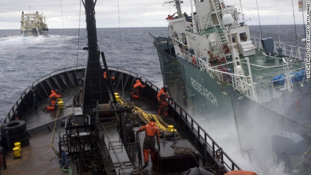 The anti-whaling Sea Shepherd ship collides with a Japanese whaling ship with RESEARCH written on its side.